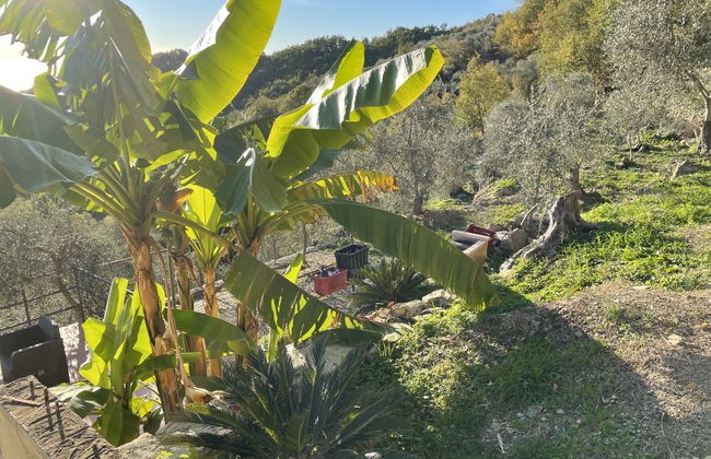 Haus mit 4 Schlafzimmern in Prelà mit privater pool und garten - Foto 19