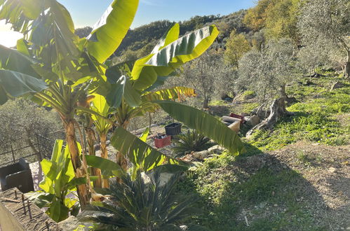 Foto 13 - Casa con 2 camere da letto a Prelà con piscina privata e giardino