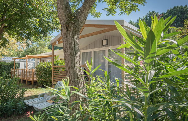 Casa de 3 quartos em Argelès-sur-Mer com piscina e terraço - Foto 27