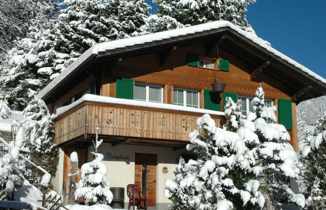 Apartamento de 1 quarto em Adelboden com jardim - Foto 12