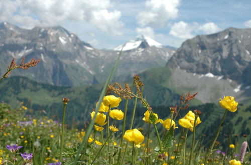 Foto 8 - Appartamento con 2 camere da letto a Adelboden con giardino