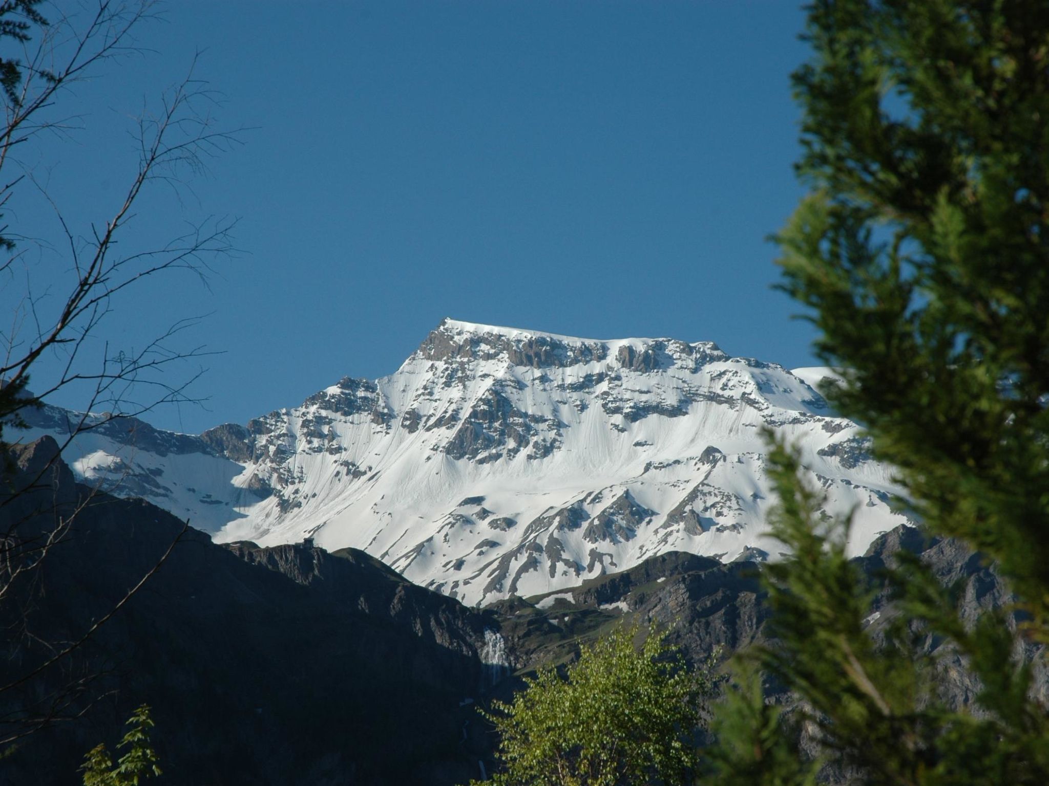 Foto 3 - Apartamento de 2 quartos em Adelboden com jardim