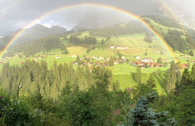 Apartamento de 1 quarto em Adelboden com jardim - Foto 14