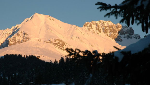 2 bedroom Apartment in Adelboden with garden - Photo 5