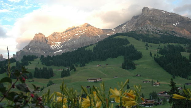 1 bedroom Apartment in Adelboden with garden - Photo 5