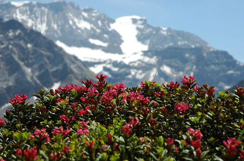 Foto 9 - Appartamento con 2 camere da letto a Adelboden con giardino