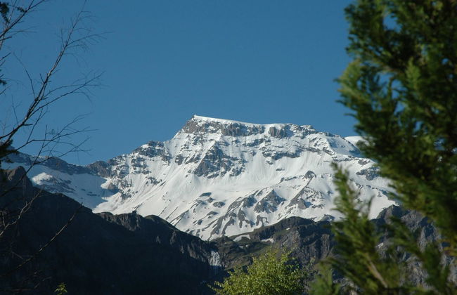 Apartamento de 2 quartos em Adelboden com jardim - Foto 3