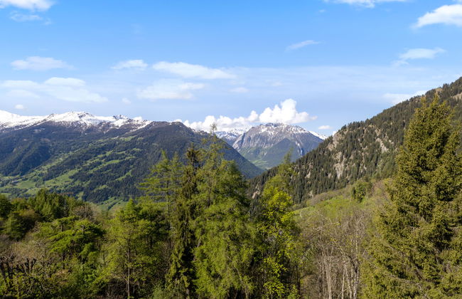 Apartamento de 2 quartos em Val de Bagnes - Foto 23