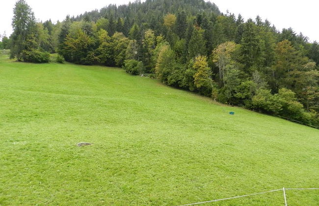 Apartamento de 2 quartos em Saanen - Foto 13
