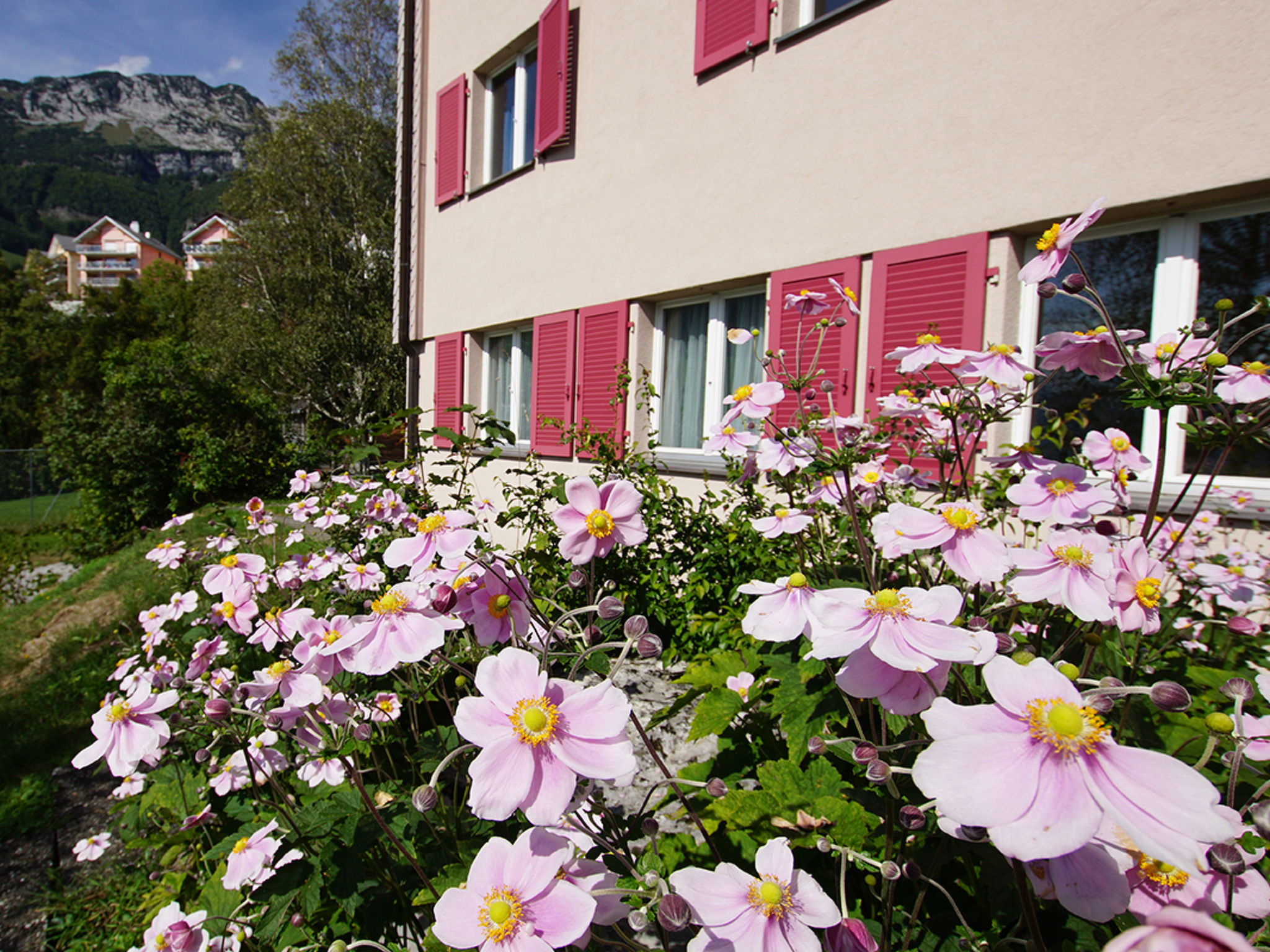 Foto 1 - Apartment mit 2 Schlafzimmern in Amden mit blick auf die berge