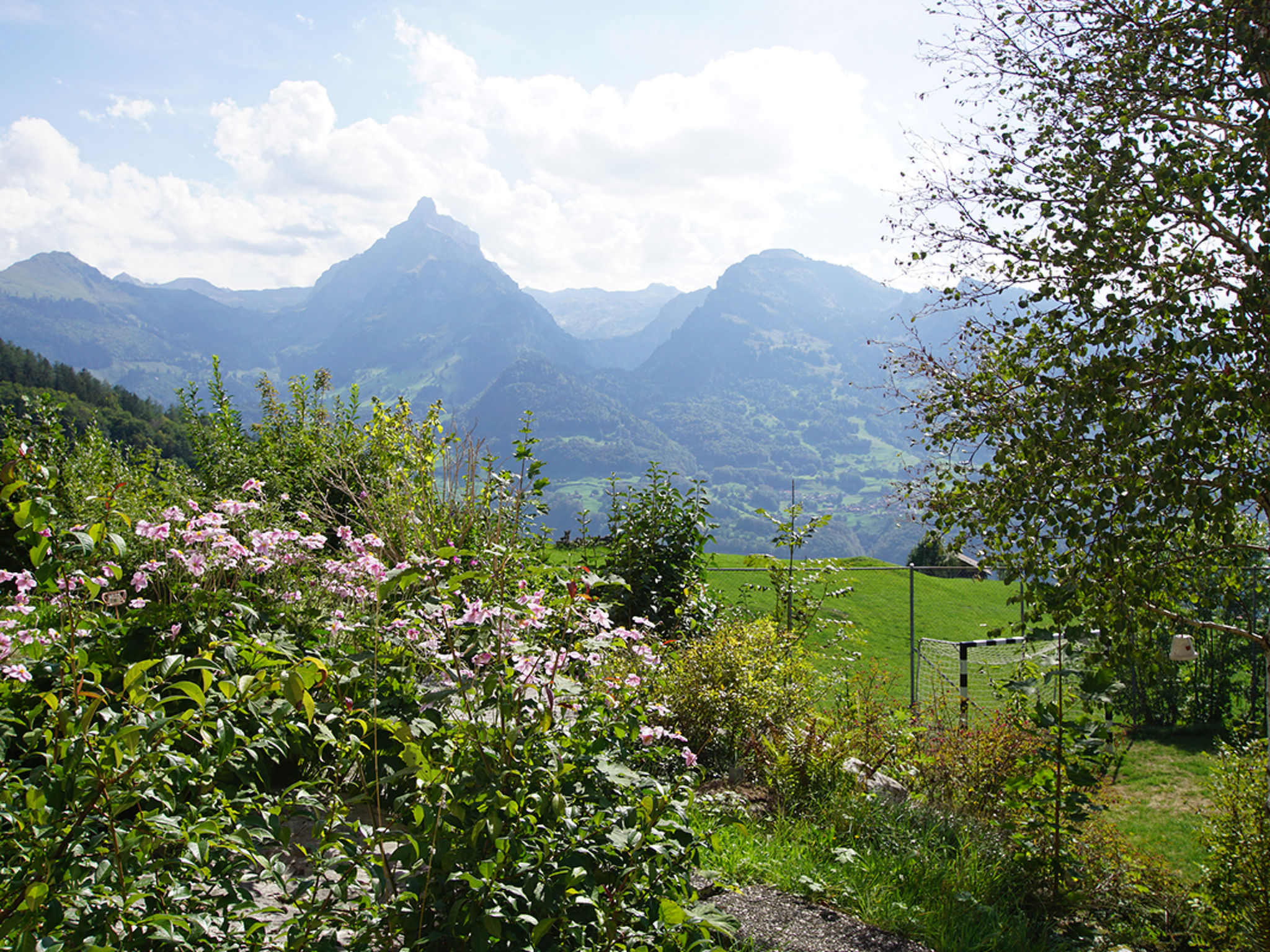 Foto 3 - Appartamento con 2 camere da letto a Amden con vista sulle montagne