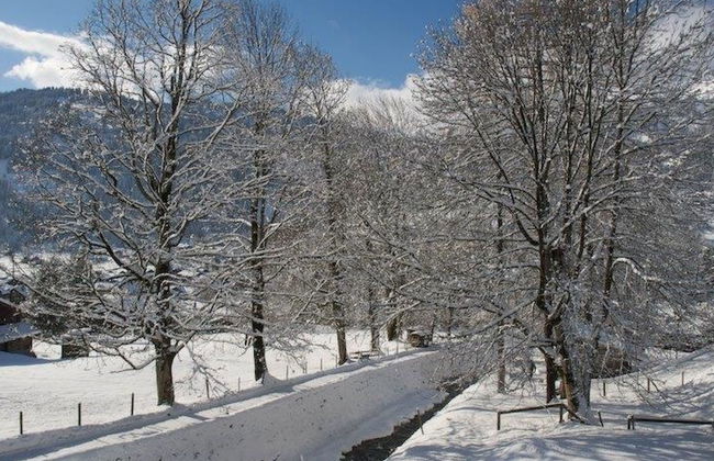 2 bedroom Apartment in Lenk with garden - Photo 4