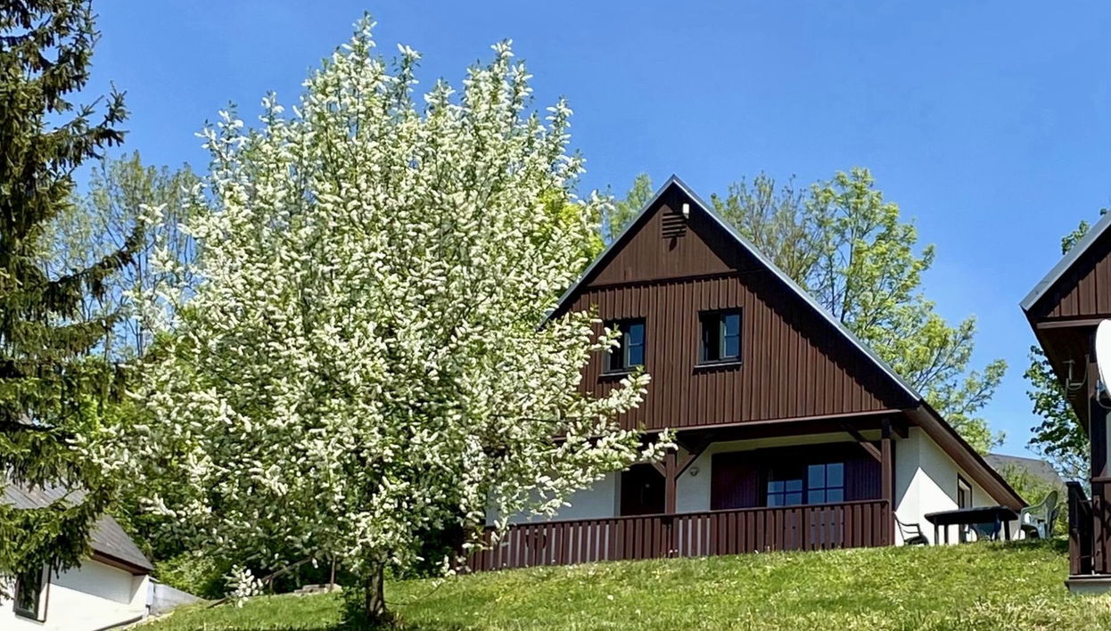 Casa de 3 quartos em Černý Důl com piscina e jardim - Foto 1