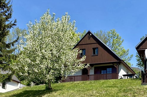 Foto 1 - Casa de 3 habitaciones en Černý Důl con piscina y jardín