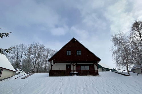 Foto 43 - Casa de 3 habitaciones en Černý Důl con piscina y vistas a la montaña