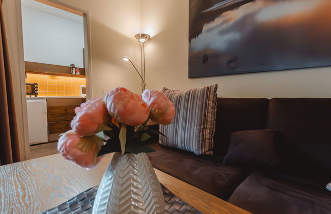 Apartamento de 2 quartos em Bad Hofgastein com jardim - Foto 8