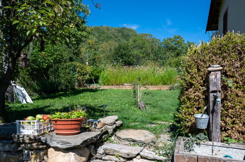 Photo 22 - Appartement de 1 chambre à San Damiano Macra avec jardin