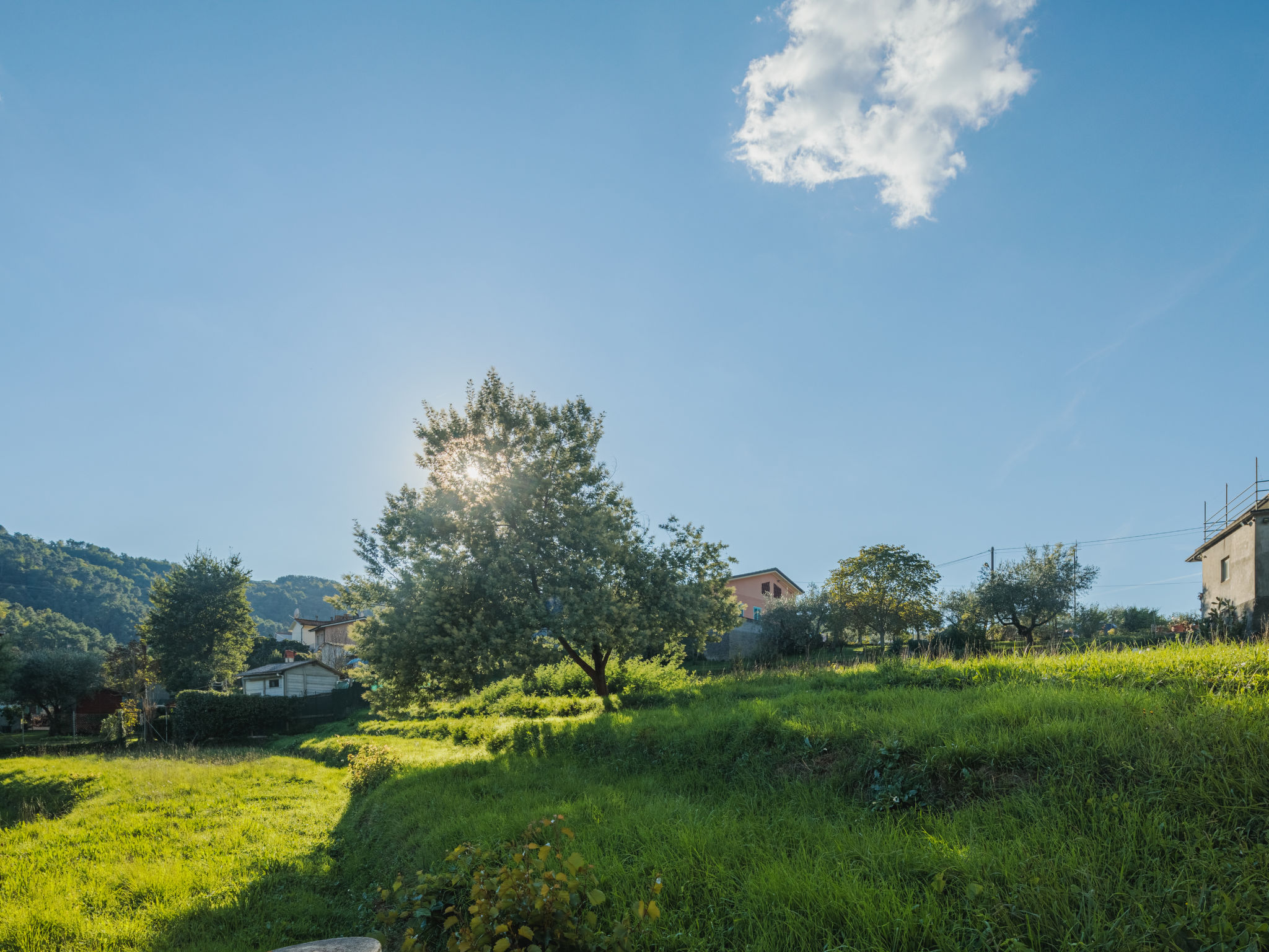 Foto 5 - Appartamento con 3 camere da letto a Camaiore con giardino e terrazza