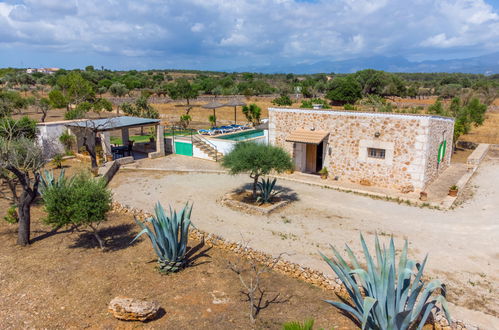 Foto 20 - Casa con 2 camere da letto a Santa Margalida con piscina privata e vista mare