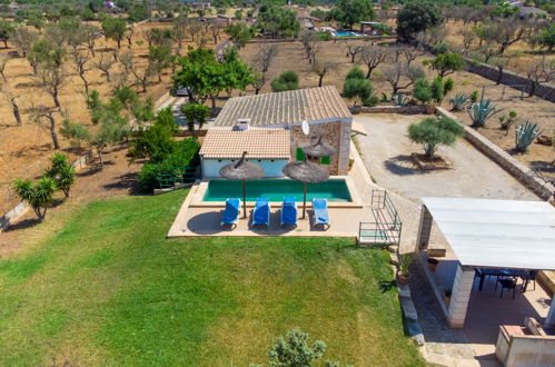 Foto 21 - Casa con 2 camere da letto a Santa Margalida con piscina privata e vista mare