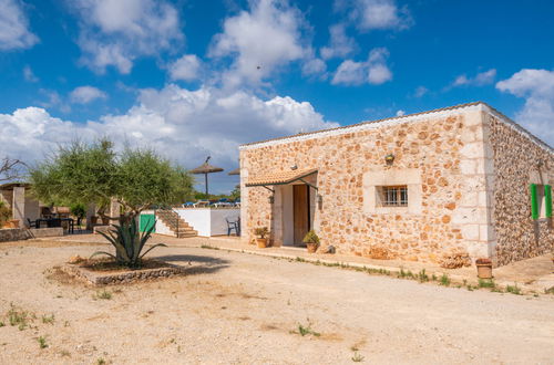 Foto 22 - Casa con 2 camere da letto a Santa Margalida con piscina privata e vista mare