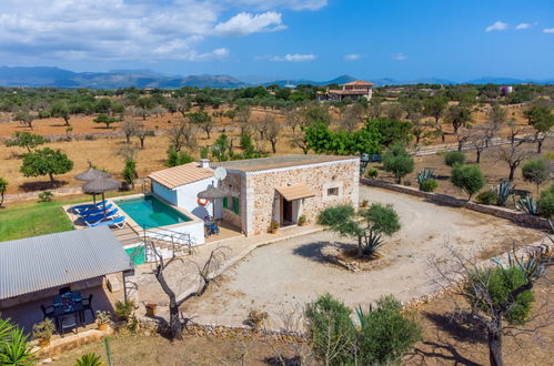 Foto 19 - Casa con 2 camere da letto a Santa Margalida con piscina privata e vista mare