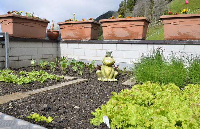 Casa de 6 quartos em Kappl com jardim e terraço - Foto 26