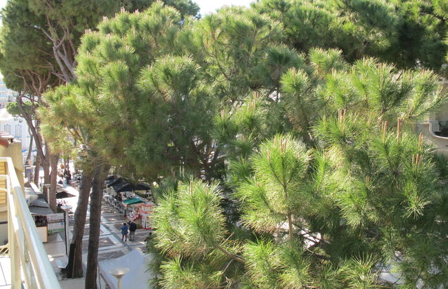 Apartamento de 1 quarto em Cattolica - Foto 15