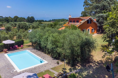 Foto 1 - Casa con 2 camere da letto a Santa Maria a Monte con piscina privata e giardino