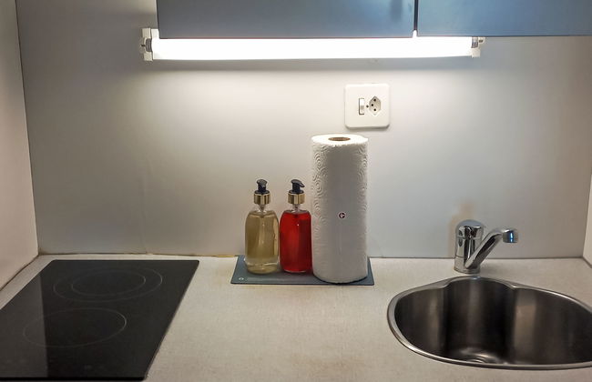 Apartamento de 1 quarto em Nendaz - Foto 20
