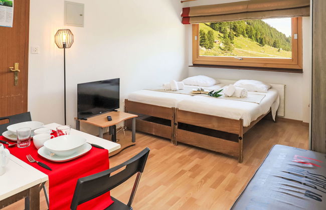 Apartamento de 1 quarto em Nendaz - Foto 1