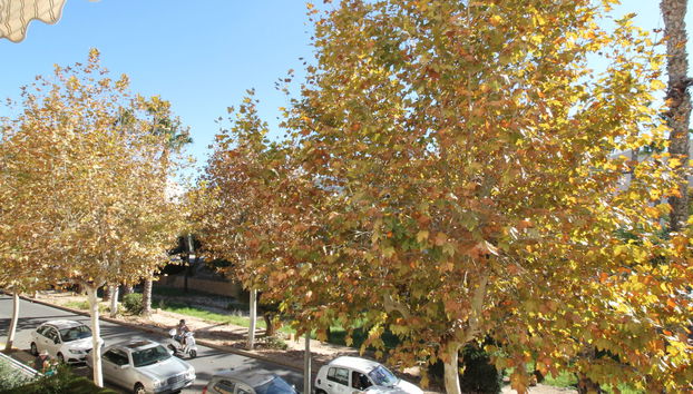 Apartment mit 3 Schlafzimmern in l'Alfàs del Pi mit schwimmbad und garten - Foto 5