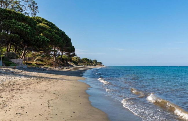 Apartment mit 3 Schlafzimmern in Santa-Lucia-di-Moriani mit schwimmbad und garten - Foto 22