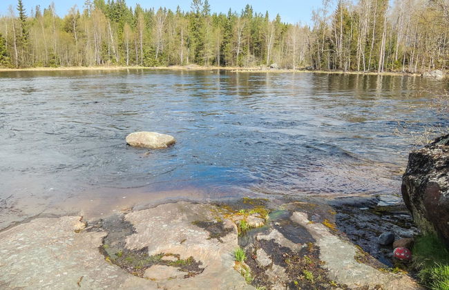Haus mit 1 Schlafzimmer in Nurmes mit sauna - Foto 9