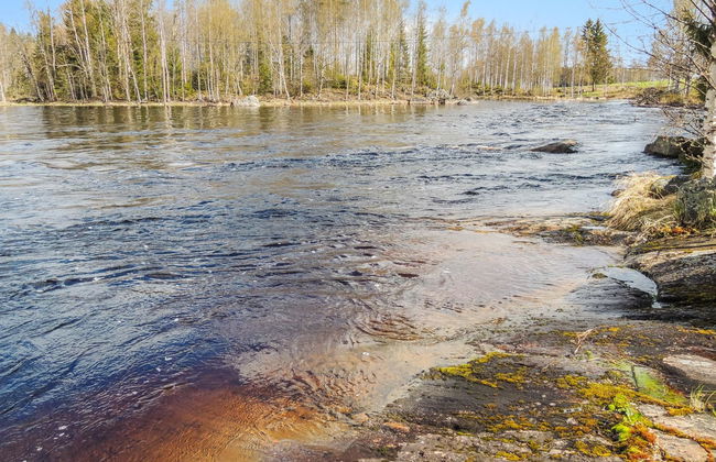 Haus mit 1 Schlafzimmer in Nurmes mit sauna - Foto 10