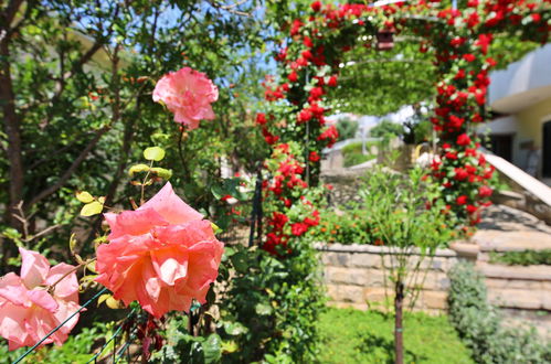 Photo 29 - Apartment in Okrug with swimming pool and garden