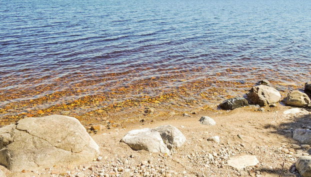 Haus mit 2 Schlafzimmern in Lieksa mit whirlpool - Foto 4