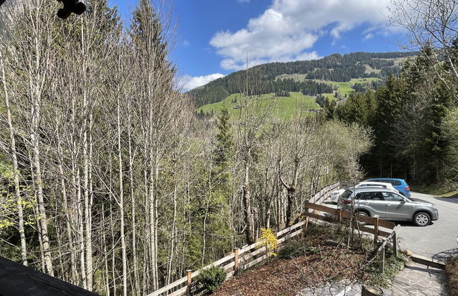 Apartamento de 2 quartos em Alpbach com jardim - Foto 27