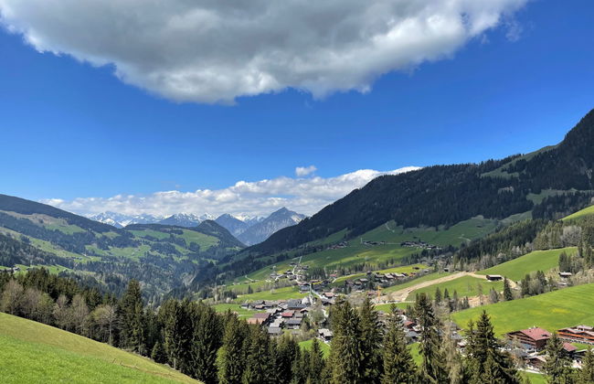 Apartamento de 2 quartos em Alpbach com jardim - Foto 16