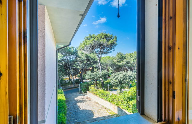 Apartamento de 3 quartos em Rosignano Marittimo com jardim - Foto 14