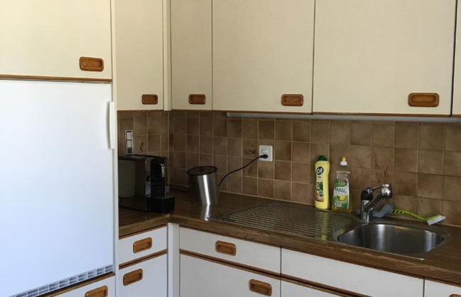 Apartamento de 1 quarto em Wolfenschiessen - Foto 5