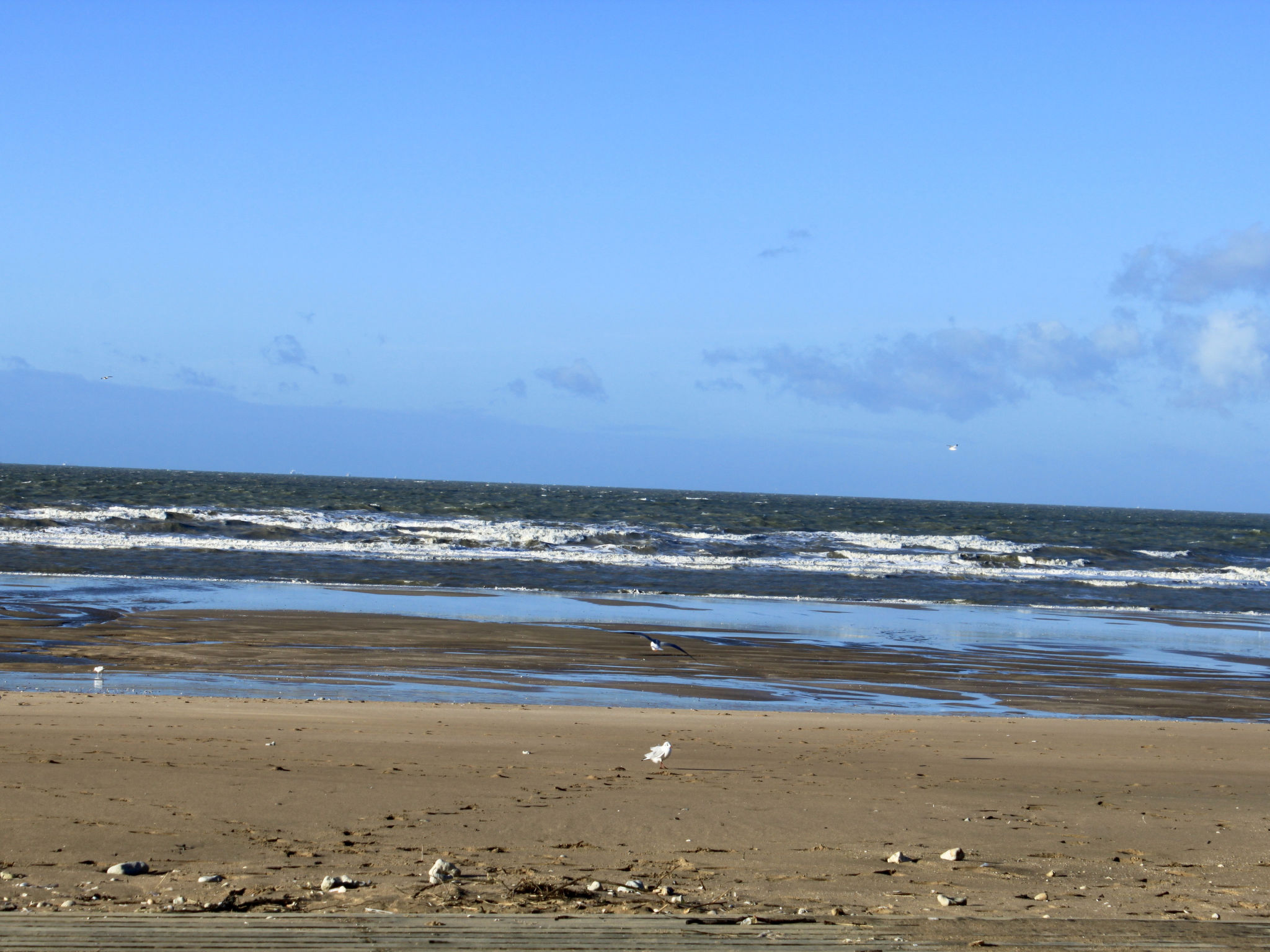 Photo 16 - Appartement en Blonville-sur-Mer avec terrasse et vues à la mer