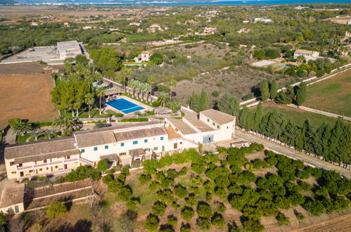 Foto 41 - Apartment mit 2 Schlafzimmern in Muro mit schwimmbad und blick aufs meer