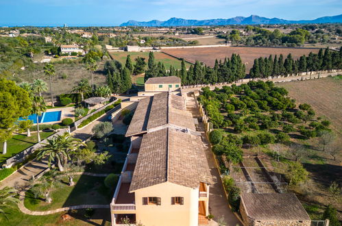 Foto 42 - Apartment mit 2 Schlafzimmern in Muro mit schwimmbad und blick aufs meer