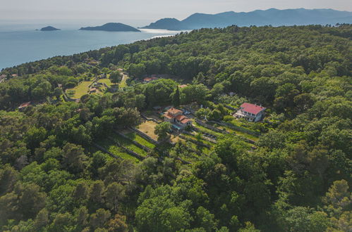 Foto 5 - Casa con 3 camere da letto a Lerici con giardino e vista mare