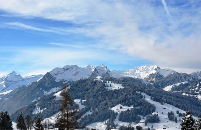2 bedroom Apartment in Saanen - Photo 6