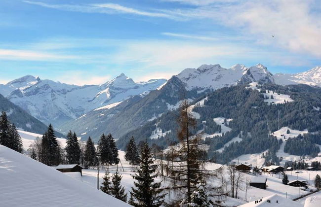 2 bedroom Apartment in Saanen - Photo 8