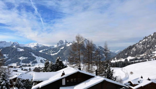 Apartment mit 2 Schlafzimmern in Saanen - Foto 5