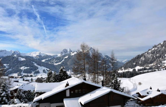 2 bedroom Apartment in Saanen - Photo 5