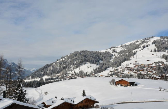 2 bedroom Apartment in Saanen - Photo 7
